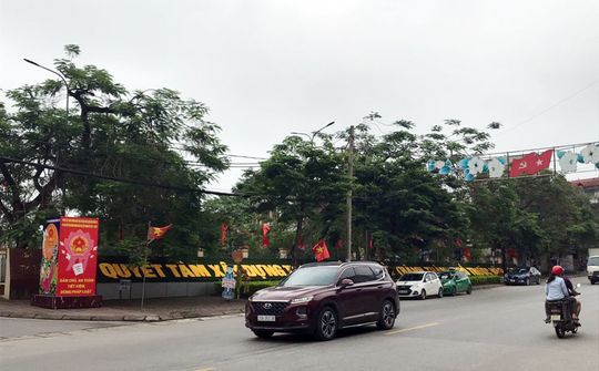 Thái Nguyên: Phổ Yên phấn đấu trồng mới trên 355 triệu cây xanh