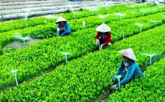 Ngành nông nghiệp Hà Nội thực hiện nhiệm vụ kép trong thời Covid-19