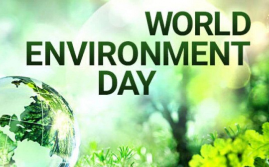 Tổ chức các hoạt động của Tháng hành động vì môi trường