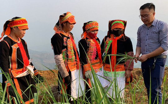 10 dự án phát triển vùng đồng bào dân tộc thiểu số, miền núi