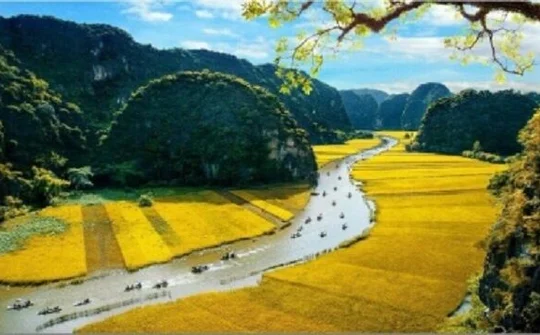 Ninh Bình: Dừng tổ chức Tuần du lịch "Sắc vàng Tam Cốc - Tràng An" 