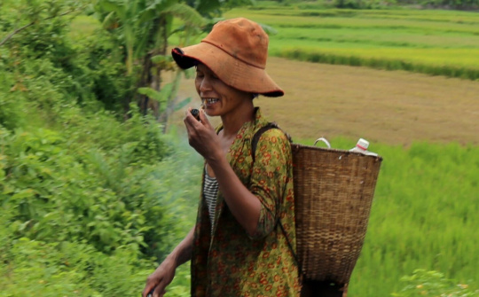 Câu chuyện nhân tuần lễ Phòng chống tác hại thuốc lá Việt Nam (25-31/5) và ngày Thế giới không thuốc lá 31/5