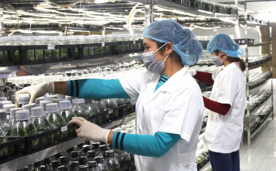 Hà Nội triển khai 5 nhiệm vụ chủ yếu thúc đẩy hội nhập quốc tế