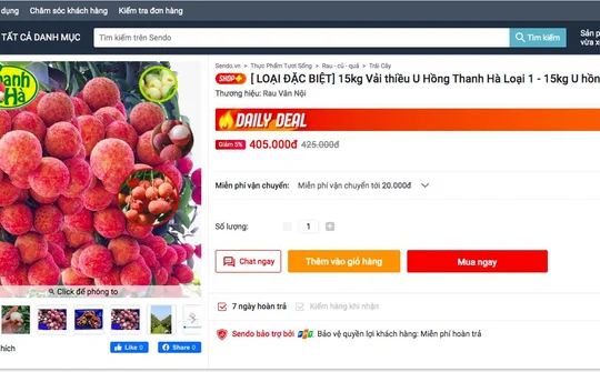 Đưa vải thiều, hành tím lên chợ điện tử