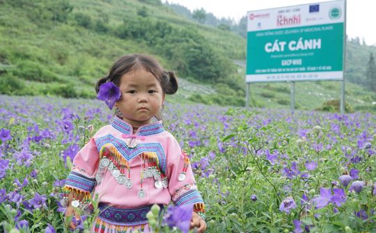 Công ty CP Nam Dược: Con đường dược liệu sạch chuẩn hóa nâng tầm thương hiệu quốc gia