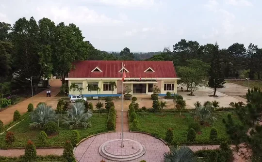 Công ty Nam Tây Nguyên: Phát triển kinh tế gắn với bảo vệ rừng
