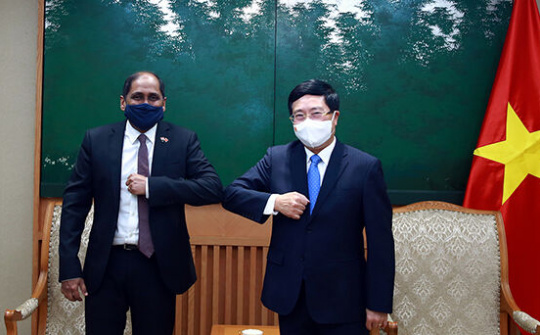 Việt Nam đề nghị Singapore cùng hợp tác phòng chống COVID-19, tiếp cận vaccine