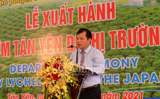 Bắc Giang xuất khẩu sang Nhật Bản 20 tấn vải thiều sớm