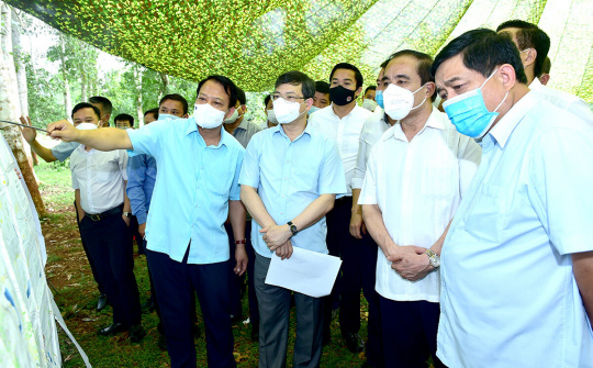 Tuyên Quang: Khảo sát tuyến đường tốc độ cao Tuyên Quang - Hà Giang và Khu lâm viên Phiêng Bung