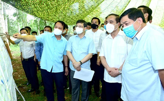 Tuyên Quang: Khảo sát tuyến đường tốc độ cao Tuyên Quang - Hà Giang và Khu lâm viên Phiêng Bung