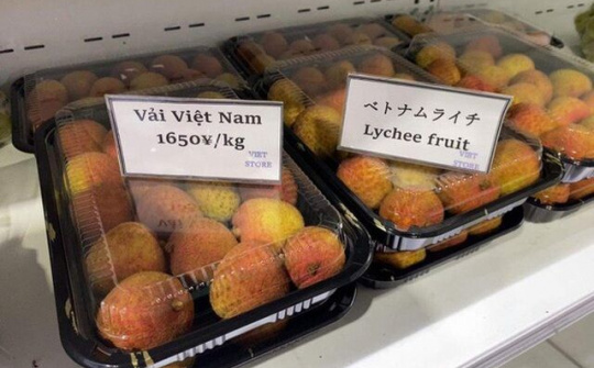 Vải thiều Việt Nam tại Nhật giá 380.000 đồng/kg vẫn tiêu thụ mạnh