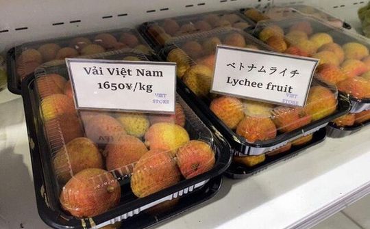 Vải thiều Việt Nam tại Nhật giá 380.000 đồng/kg vẫn tiêu thụ mạnh