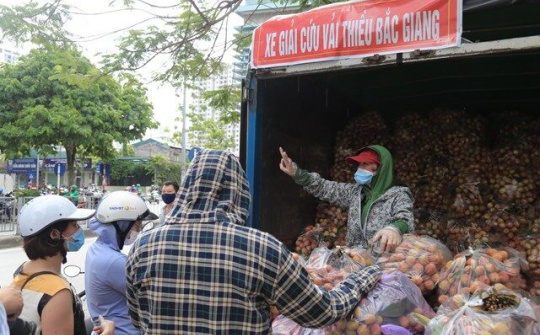 Người Hà Nội xếp hàng giữa nắng nóng giải cứu vải thiều Bắc Giang