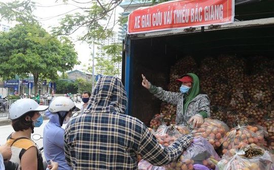Người Hà Nội xếp hàng giữa nắng nóng giải cứu vải thiều Bắc Giang