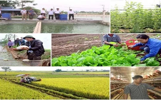 Ứng Hòa phát triển nông nghiệp theo hướng bền vững