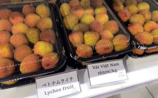 Đã xuất khẩu được 50 tấn vải thiều sang Nhật Bản