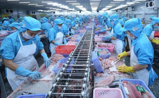 Xuất khẩu nông, lâm, thủy sản của Việt Nam tăng khá cao