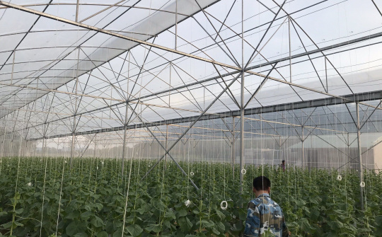 Thọ Xuân: Ứng dụng mô hình nhà lưới, nhà màng vào sản xuất nông nghiệp công nghệ cao