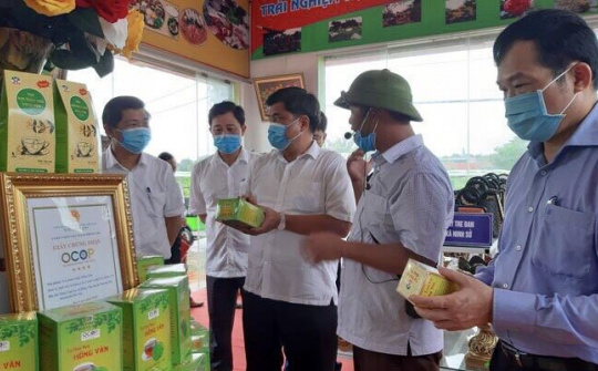 Thành phố Hà Nội thành lập Ban Chỉ đạo Chương trình OCOP năm 2021