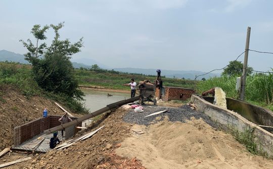 Hợp tác xã Dịch vụ nông nghiệp Thanh Bình: Nỗ lực giúp nông dân chống hạn