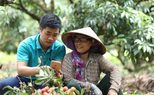 Nông dân lên sàn thương mại điện tử