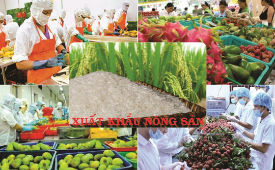 'Đối sách linh hoạt' không để ùn ứ nông sản