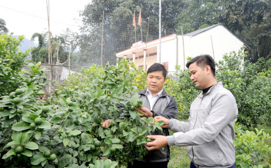 Hàm Yên, Tuyên Quang: Giảm nghèo để xây dựng nông thôn mới