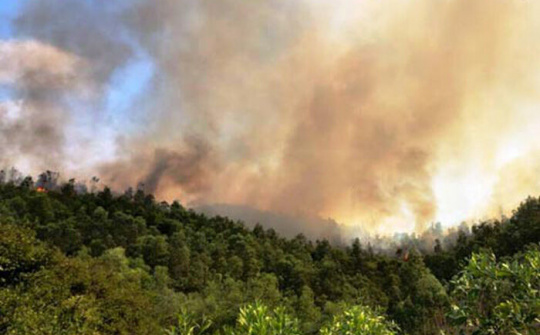 Thanh Hóa: Tăng cường thực hiện các biện pháp cấp bách phòng cháy, chữa cháy rừng trong mùa nắng nóng 2021