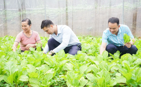 Sở Nông nghiệp - Phát triển nông thôn tỉnh Thái Nguyên: Bàn giải pháp hỗ trợ tiêu thụ sản phẩm rau