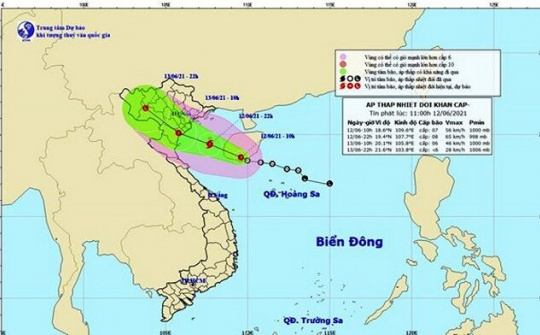 Ninh Bình: Nghiêm cấm tàu thuyền ra khơi, khẩn trương di dân khỏi khu vực nguy hiểm