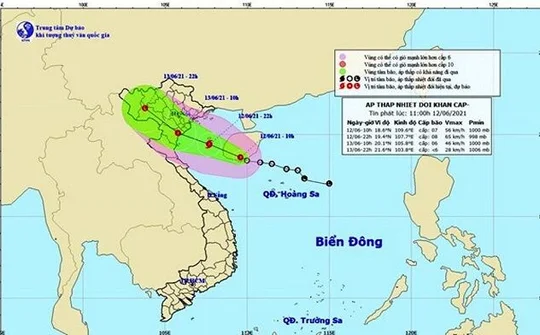 Ninh Bình: Nghiêm cấm tàu thuyền ra khơi, khẩn trương di dân khỏi khu vực nguy hiểm