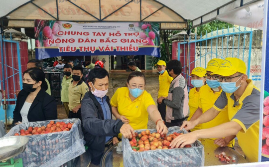 Gia Lai: Chung tay cùng Bắc Giang tiêu thụ vải thiều