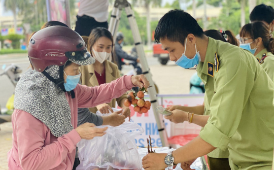 Người dân Đắk Lắk ưu tiên tiêu thụ vải Bắc Giang