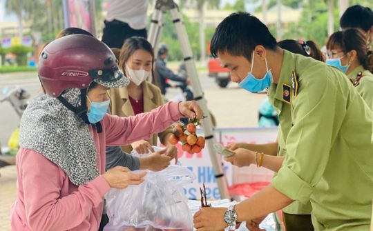 Người dân Đắk Lắk ưu tiên tiêu thụ vải Bắc Giang