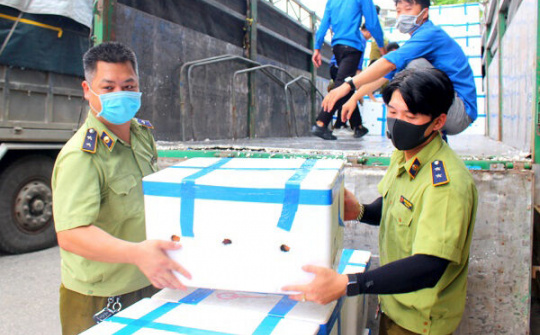 Cao Bằng: Chung tay tiêu thụ nông sản giúp người nông dân vượt qua đại dịch