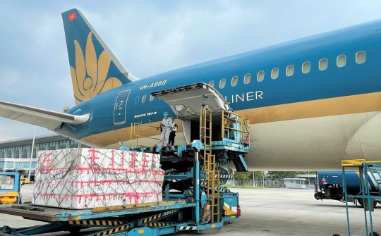 Hãng bay Việt chuyển hướng 'cõng' hàng hóa để sống sót trước COVID-19