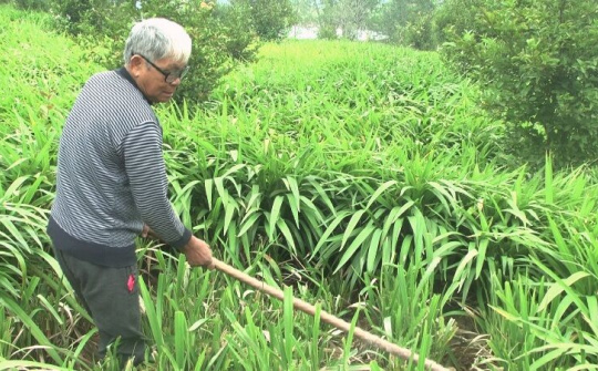 Hội CCB xã Quỳnh Tân (Quỳnh Lưu - Nghệ An): Luôn phát huy phẩm chất tốt đẹp của “Anh bộ đội cụ Hồ”