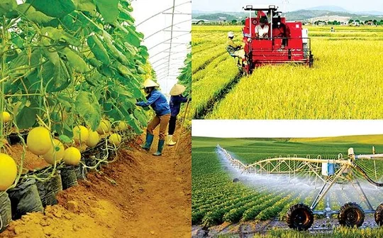 Chuyển đổi số - Động lực phát triển kinh tế hợp tác, hợp tác xã