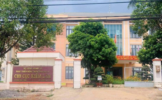Gia Lai: Sắp xếp lại bộ máy các chi cục, ban trực thuộc cơ quan chuyên môn cấp tỉnh