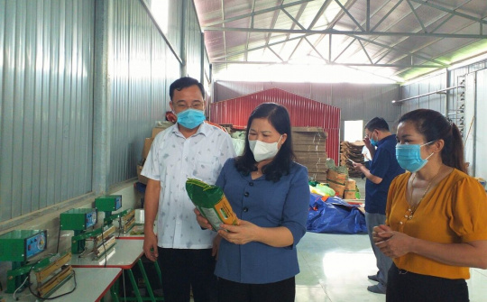 Bắc Kạn: Kiểm tra một số dự án công nghiệp tại Na Rì