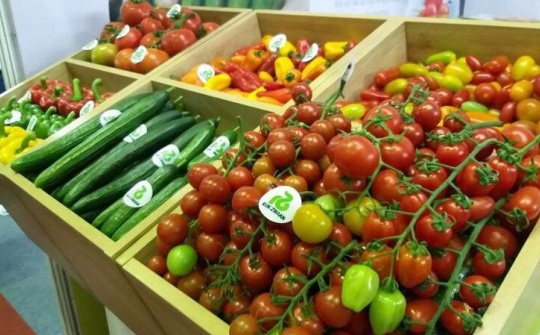 Nông sản Việt Nam có mặt ở nhiều thị trường quốc tế