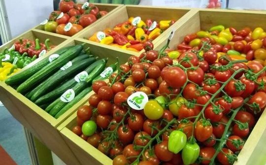 Nông sản Việt Nam có mặt ở nhiều thị trường quốc tế