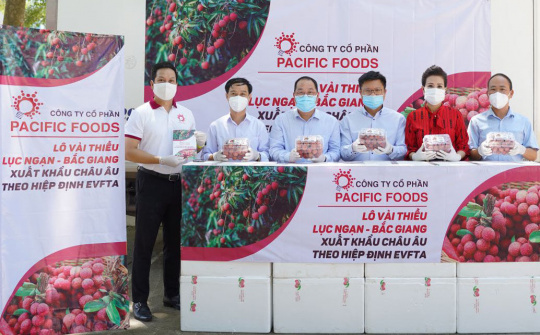 Vải thiều Lục Ngạn vượt bão dịch COVID-19 xuất ngoại