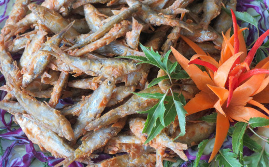 Thái Nguyên: Đặc sản cá Hồ Núi Cốc