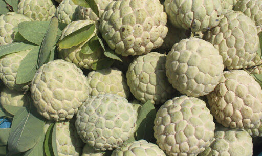 Võ Nhai, Thái Nguyên: Tìm giải pháp tiêu thụ quả Na trong mùa dịch