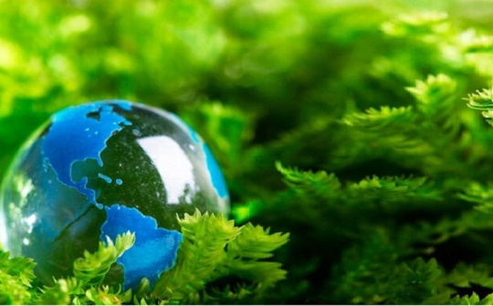 Bộ TNMT đề xuất quy định bảo vệ các thành phần môi trường