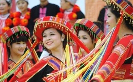 Tiêu chuẩn bổ nhiệm giám định viên tư pháp trong lĩnh vực văn hóa