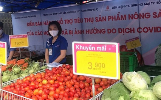 Bộ trưởng Lê Minh Hoan: 'Sẽ có mô hình tiêu thụ nông sản mùa dịch'