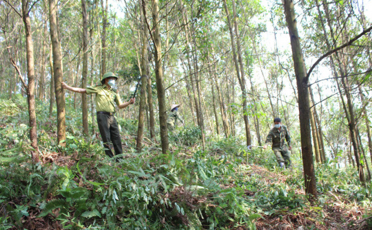 Đồng Hỷ, Thái Nguyên:  Tăng cường phòng, chống cháy rừng