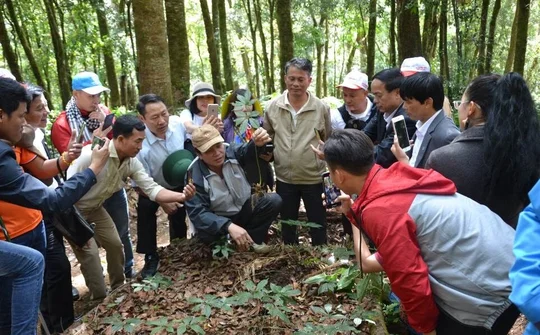 Huyện vùng cao Tu Mơ Rông – Kon Tum:  Khai thông nguồn lực, tập trung chuyển đổi mô hình tăng trưởng